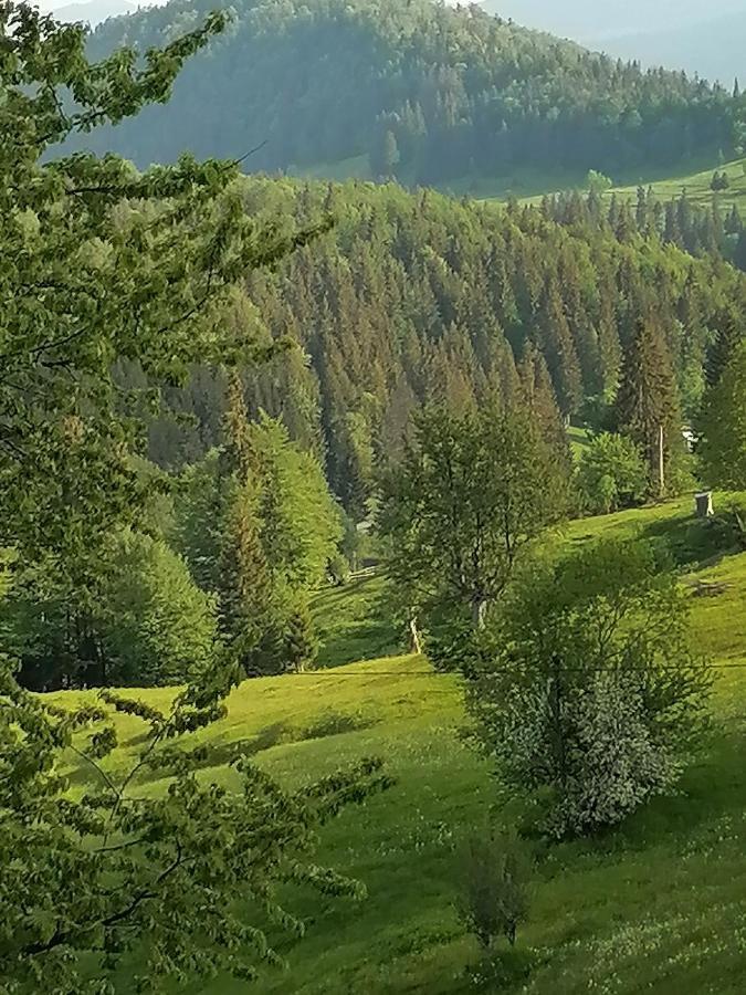 Cabana Daria Gîrda de Sus Zewnętrze zdjęcie