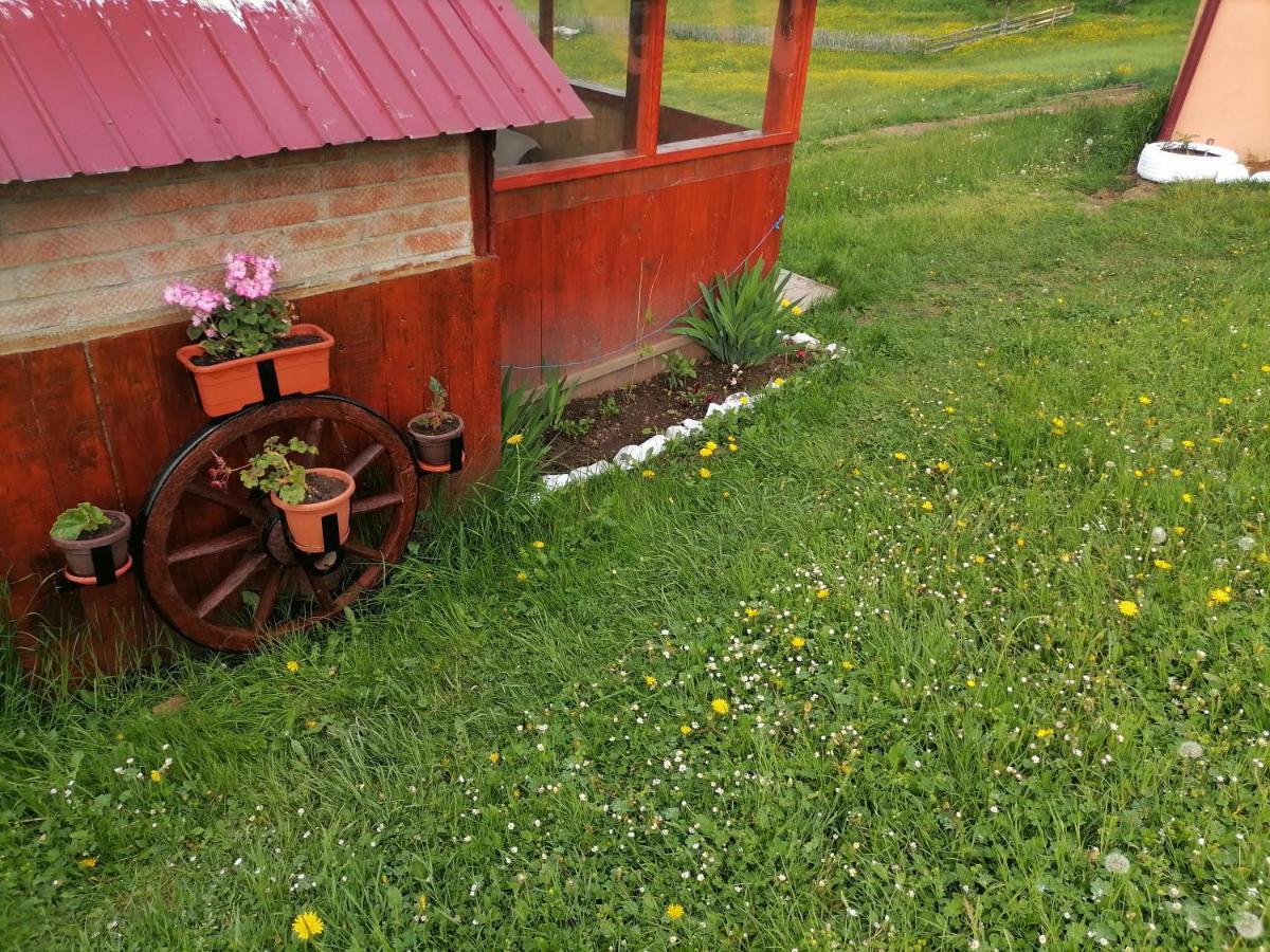 Cabana Daria Gîrda de Sus Zewnętrze zdjęcie