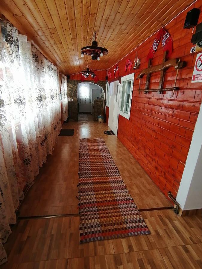 Cabana Daria Gîrda de Sus Zewnętrze zdjęcie