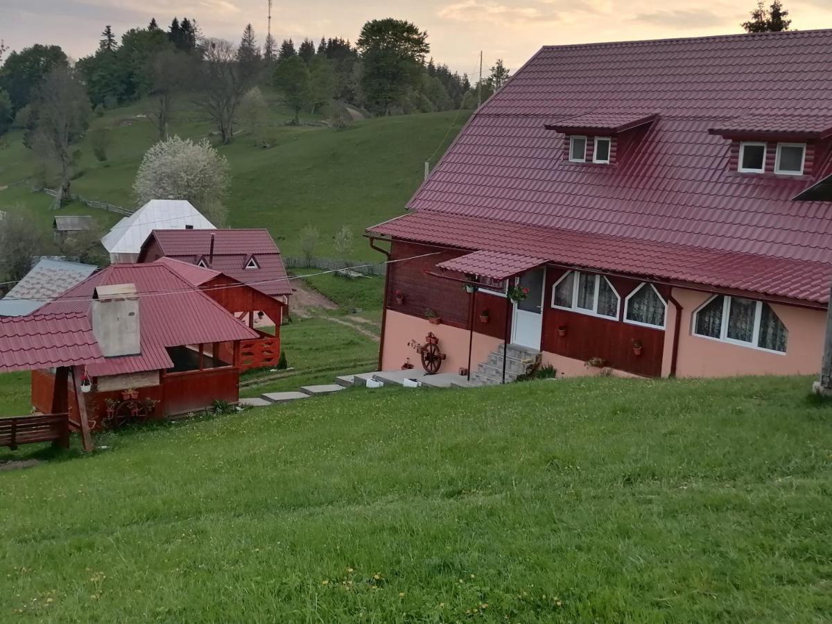 Cabana Daria Gîrda de Sus Zewnętrze zdjęcie