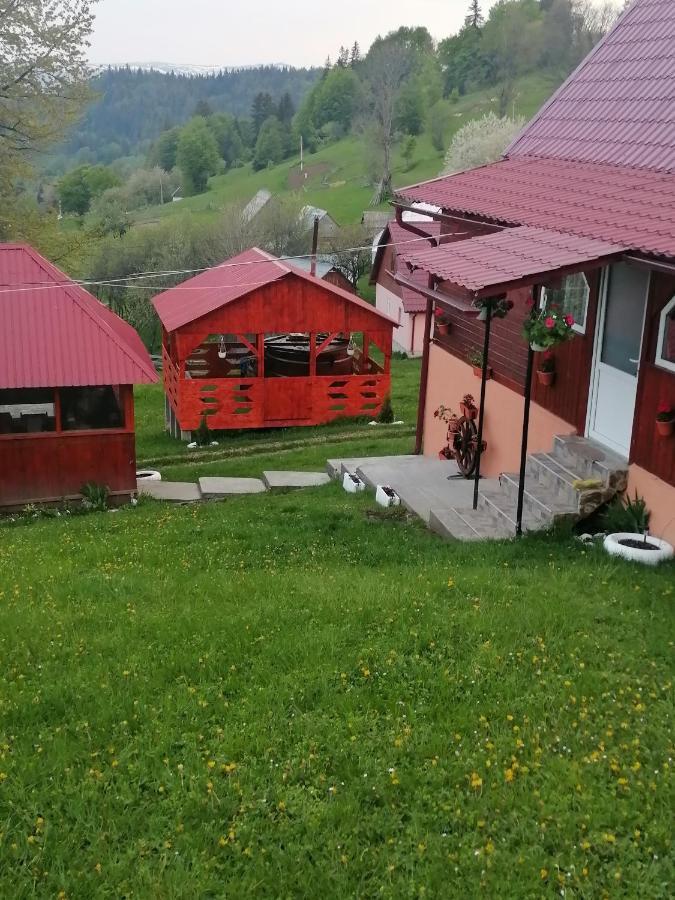 Cabana Daria Gîrda de Sus Zewnętrze zdjęcie
