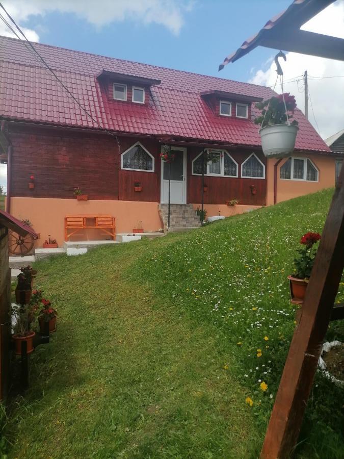 Cabana Daria Gîrda de Sus Zewnętrze zdjęcie